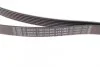 Ремінь генератора MB C-class (W202) 2.0 95-01 (6PK1863) UA63 BOSCH 1 987 945 983 (фото 2)