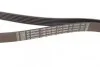 Ремінь генератора поліклиновий VW LT 2.8TDI 96KW/Ford Transit 2.0DI 00- (6PK1640) UA63 BOSCH 1 987 945 985 (фото 2)
