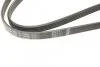 Ремінь генератора Toyota Avensis/Corolla 2.0D-4D 04-09 (5PK1250) UA63 BOSCH 1 987 946 001 (фото 4)