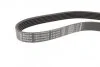 Ремінь генератора Nissan Micra 1.0-1.4i 16V 92-03 (6PK675) (opt-om) BOSCH 1 987 946 025 (фото 3)