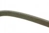 Ремінь генератора поліклиновий Citroen Jumper/Fiat Ducato/Peugeot Boxer 2.0 94- (6PK698 (opt-om) BOSCH 1 987 946 034 (фото 3)