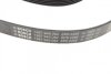Ремінь полікліновий BOSCH 1 987 946 082 (фото 2)