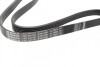 Ремінь полікліновий C.I.U BOSCH 1 987 946 087 (фото 2)