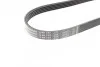 Ремінь генератора Land Rover Freelander 1.8 16V 4x4 00-06 (5PK735) UA63 BOSCH 1 987 946 093 (фото 2)