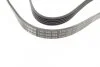 Ремінь генератора Volvo S40/V40 98-04 (5PK1325) (opt-om) BOSCH 1 987 946 094 (фото 2)