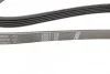 Ремінь генератора Volvo S40/V40 98-04 (5PK1325) (opt-om) BOSCH 1 987 946 094 (фото 3)
