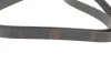 Ремінь генератора Opel Combo/Astra G 1.7DTi 01-/VW T4 2.0 90-03/Ford Mondeo 2.5 94-00 (6PK1 UA63 BOSCH 1 987 946 096 (фото 2)