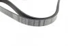 Ремінь генератора Opel Combo/Astra G 1.7DTi 01-/VW T4 2.0 90-03/Ford Mondeo 2.5 94-00 (6PK1 UA63 BOSCH 1 987 946 096 (фото 3)