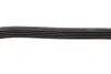 Ремінь генератора Ford C-Max/ Focus/ Volvo S40 1.8-2.0 06-12 (5PK705) UA63 BOSCH 1 987 946 134 (фото 4)