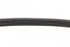 Ремінь генератора Ford Fiesta/Fusion 1.25/1.4/1.6 01-12 (5PK690) (opt-om) BOSCH 1 987 946 141 (фото 4)