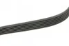 Ремінь генератора Audi A3/Skoda Octavia/VW Passat B8 1.6TDI/2.0TDI 12-/Caddy 2.0TDI 15- (6P UA63 BOSCH 1 987 946 144 (фото 3)
