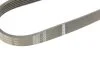Реминь генератора Seat Ibiza 15-/VW Polo 1.0/1.6 14-/Skoda Fabia 14- (6PK701) UA63 BOSCH 1 987 946 152 (фото 4)