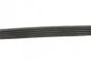 Ремінь генератора Citroen C3/C4/Peugeot 208/308 1.0/1.2 12- (6PK848) UA63 BOSCH 1 987 946 155 (фото 3)