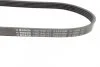 Ремінь генератора Ford Focus 1.4/1.6i 03- (6PK1059+5PK868) К-кт UA63 BOSCH 1 987 946 196 (фото 3)