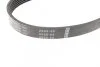 Ремінь генератора Ford Focus 1.4/1.6i 03- (6PK1059+5PK868) К-кт UA63 BOSCH 1 987 946 196 (фото 8)