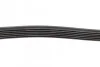 Ремінь генератора Ford Fiesta/Focus 1.4LPG/1.6Ti 08- (6PK1019) (opt-om) BOSCH 1 987 946 197 (фото 8)