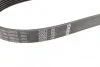 Реминь генератора Ford Transit 2.2TDCi 06-18 (6PK873) (opt-om) BOSCH 1 987 946 199 (фото 3)