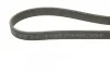 Реминь генератора VW Golf/Passat 2.8 91-99 (7PK1360) (opt-om) BOSCH 1 987 946 204 (фото 4)