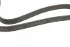 Реминь генератора VW Golf/Passat 2.8 91-99 (7PK1360) (opt-om) BOSCH 1 987 946 204 (фото 5)