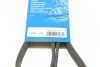 Реминь генератора VW Golf/Passat 2.8 91-99 (7PK1360) (opt-om) BOSCH 1 987 946 204 (фото 6)