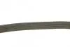 Ремінь генератора Volvo C70/S40/S60/S80/V40/V70/XC70/XC90 95-14 (6PK1841) UA63 BOSCH 1 987 946 208 (фото 3)