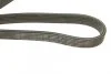 Ремінь генератора Volvo C70/S40/S60/S80/V40/V70/XC70/XC90 95-14 (6PK1841) UA63 BOSCH 1 987 946 208 (фото 5)