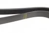 Ремінь генератора Fiat Bravo 1.6/2.0D 07-14/Croma 1.9D 05- (6PK1395) (opt-om) BOSCH 1 987 946 241 (фото 3)