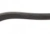 Ремінь генератора Fiat Bravo 1.6/2.0D 07-14/Croma 1.9D 05- (6PK1395) (opt-om) BOSCH 1 987 946 241 (фото 4)