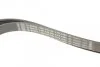 Ремінь генератора Audi A4/A6/A8/Q7 2.7/3.0TDI 04- (6PK2490) UA63 BOSCH 1 987 946 246 (фото 3)