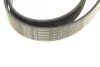 Ремінь генератора Land Rover Range Rover Sport 05-13/Discovery 2.7D 04- (8PK2093) (opt-om) BOSCH 1 987 946 268 (фото 4)