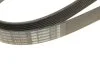Ремінь генератора Land Rover Range Rover Sport 05-13/Discovery 2.7D 04- (8PK2093) (opt-om) BOSCH 1 987 946 268 (фото 5)
