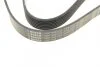 Ремінь генератора Honda Accord/Civic/CR-V 1.8/2.0 05- (7PK1535) (opt-om) BOSCH 1 987 946 272 (фото 5)