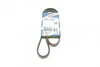 Ремінь генератора Suzuki Grand Vitara 2.5 98-03/Kia Carens 1.8 97-04/Lexus IS 200 2.0 99-05 UA63 BOSCH 1 987 946 274 (фото 1)