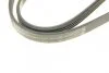 Ремінь генератора Suzuki Grand Vitara 2.5 98-03/Kia Carens 1.8 97-04/Lexus IS 200 2.0 99-05 UA63 BOSCH 1 987 946 274 (фото 4)