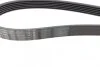 Ремінь генератора Peugeot 406 96-04/Citroen C4 Picasso 2.0i 07-13 (6PK1480) (opt-om) BOSCH 1 987 946 276 (фото 3)