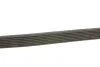 Ремінь генератора Renault Master/Opel Movano 2.3dCi 10-/Chrysler 300C 3.0 V6 CRD 10-12 (opt-om) BOSCH 1 987 946 283 (фото 3)