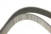 Ремінь генератора Audi A8 3.7/4.2 quattro 02-10/VW Phaeton 4.2 V8 4motion 03-16 (7PK253 (opt-om) BOSCH 1 987 946 284 (фото 5)