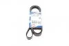 Ремінь генератора VW T4 2.4D/2.5TDI 90-03/Ford Fiesta 1.25-1.6 95-02 (6PK1767) (opt-om) BOSCH 1 987 946 296 (фото 1)
