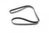 Ремінь генератора VW T4 2.4D/2.5TDI 90-03/Ford Fiesta 1.25-1.6 95-02 (6PK1767) (opt-om) BOSCH 1 987 946 296 (фото 3)