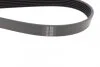 Ремінь генератора VW T4 2.4D/2.5TDI 90-03/Ford Fiesta 1.25-1.6 95-02 (6PK1767) (opt-om) BOSCH 1 987 946 296 (фото 5)