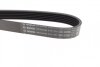 Ремінь генератора VW T4 2.4D/2.5TDI 90-03/Ford Fiesta 1.25-1.6 95-02 (6PK1767) (opt-om) BOSCH 1 987 946 296 (фото 6)