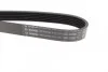 Ремінь генератора VW T4 2.4D/2.5TDI 90-03/Ford Fiesta 1.25-1.6 95-02 (6PK1767) (opt-om) BOSCH 1 987 946 296 (фото 6)