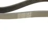 Ремінь генератора Mazda 6 2.0 MZR-CD 07-10/MPV 2.0 DI 02-06 (8PK1230) UA63 BOSCH 1 987 947 047 (фото 4)