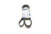 Ремінь генератора MB Atego/Axor/Vario 98- (8PK1955) (OM900/904/906/924-926) UA63 BOSCH 1 987 947 062 (фото 1)