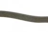 Ремінь генератора MB Atego/Axor/Vario 98- (8PK1955) (OM900/904/906/924-926) UA63 BOSCH 1 987 947 062 (фото 3)