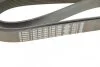 Ремінь генератора MB Atego/Axor/Vario 98- (8PK1955) (OM900/904/906/924-926) UA63 BOSCH 1 987 947 062 (фото 5)