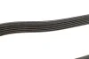 Ремінь генератора Chevrolet Captiva/Opel Antara 2.0CDTI 06- (6PK2065) (opt-om) BOSCH 1 987 947 555 (фото 4)