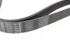 Ремінь генератора Renault Master 3.0dCi/Opel Movano 3.0dTi 03-/Toyota Rav4 2.0 06-13 (7 (opt-om) BOSCH 1 987 947 556 (фото 4)