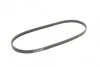 Ремінь генератора Honda CR-V 2.0 16V 4WD 95-02/Subaru Forester/Impreza/Legacy 1.5-2.5 9 (opt-om) BOSCH 1 987 947 559 (фото 2)