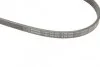 Ремінь генератора Honda CR-V 2.0 16V 4WD 95-02/Subaru Forester/Impreza/Legacy 1.5-2.5 9 (opt-om) BOSCH 1 987 947 559 (фото 5)